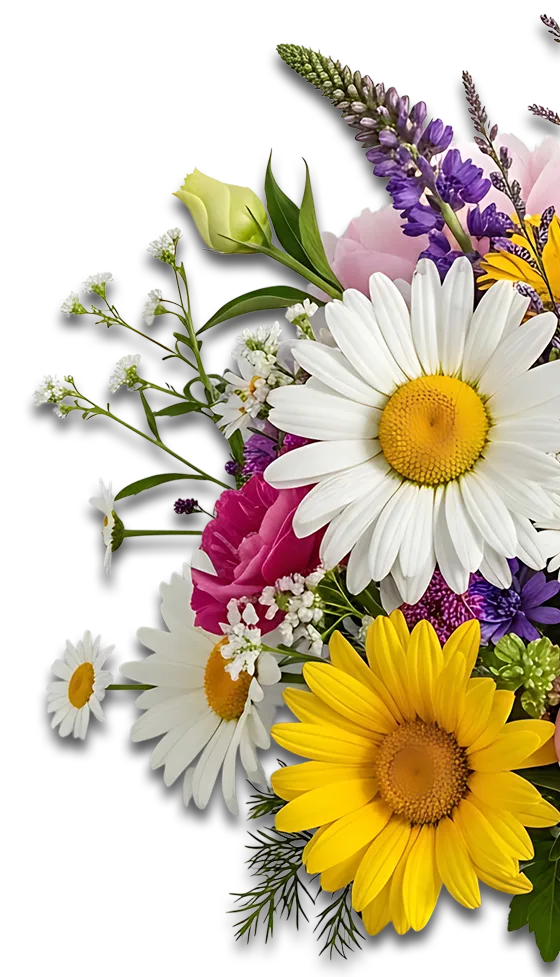 Blumenstrauss Halb Start